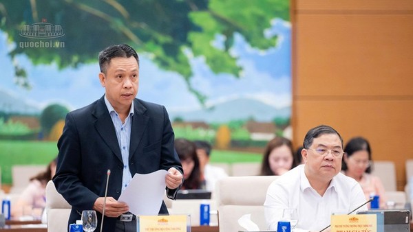 Thứ trưởng Bộ Công thương Nguyễn Việt Sơn trình bày tờ trình - Ảnh: QH.