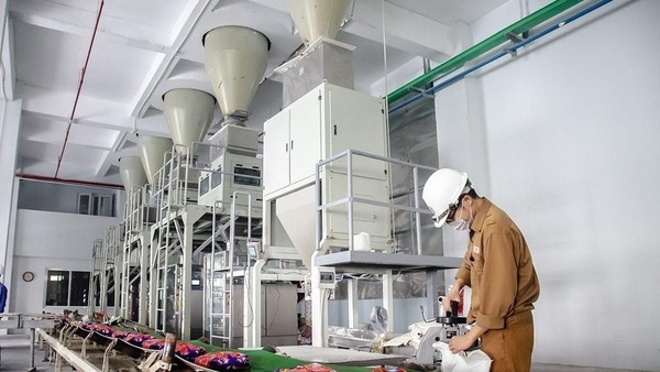 HOSE nhắc nhở Hoá chất Đức Giang (DGC) chưa nộp Báo cáo kiểm toán năm 2025