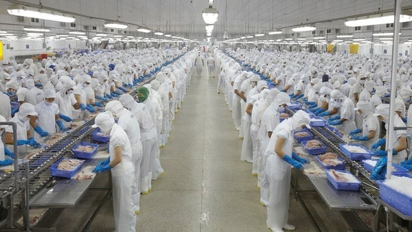 Vĩnh Hoàn (VHC) lên kế hoạch lãi 1.600 tỷ đồng trong năm 2026