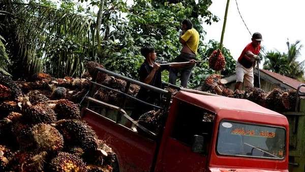 Indonesia siết chặt kiểm soát xuất khẩu hàng hoá