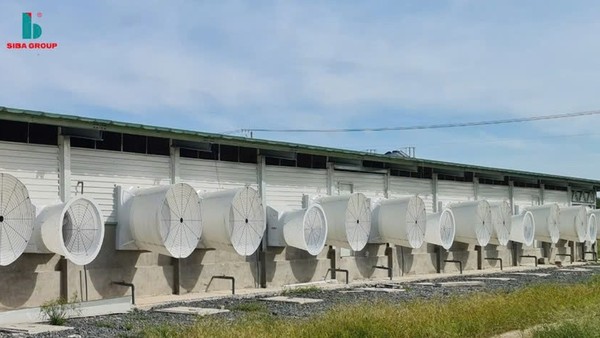 Siba Group (SBG) thay Kế toán trưởng