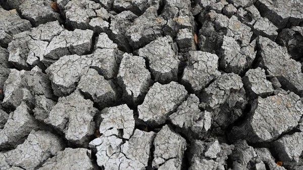 Hiện tượng El Nino có thể gây cú sốc mới cho thị trường hàng hóa