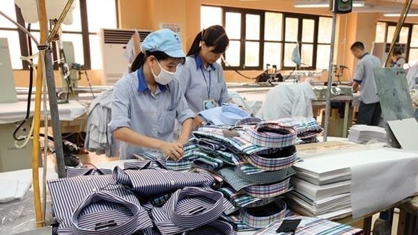 Kiểm toán đưa ý kiến ngoại trừ do Gilimex (GIL) chưa trích lập dự phòng tồn kho liên quan vụ kiện với Amazon