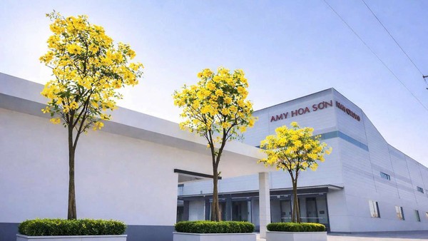 Lãi ròng của Amy Grupo đi lùi trong nửa đầu năm 2026 trước thềm IPO