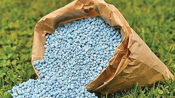 Thị trường phân bón toàn cầu tránh được cú sốc nguồn cung