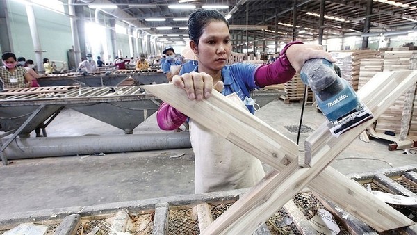 Cổ phiếu Gỗ Trường Thành (TTF) vào diện hạn chế giao dịch