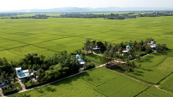 Những ngôi nhà an toàn được ADB và Chính phủ tài trợ được xây dựng lại trong chiến dịch Quang Trung tại khu phố Đông Thạnh, phường Đông Hòa tỉnh Đắk Lắk. Ảnh: Trần Việt Tuấn/ADB