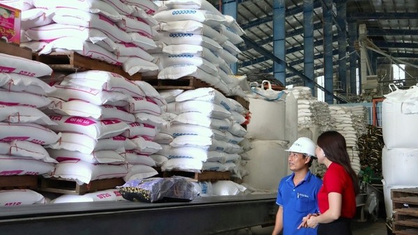 Dòng vốn Agribank và kỳ vọng bứt tốc 2026