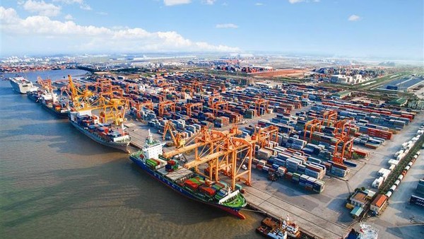 Thủ tục nhập khẩu vào EU sẽ ngày càng dựa trên dữ liệu, tính nhất quán của hồ sơ và khả năng truy xuất chuỗi cung ứng. Ảnh: Lê Toàn
