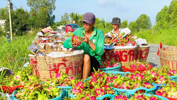 Ảnh Lê Toàn