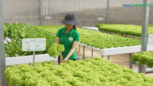 Miễn, giảm thuế có phải là giải pháp tối ưu để doanh nghiệp lớn lên?