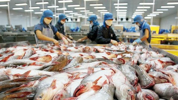 Xuất khẩu cá tra và bài toán đa dạng hóa thị trường