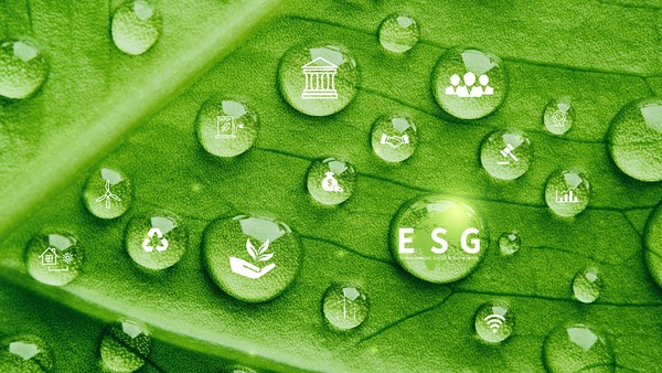 Tăng trưởng bền vững, cần đa dạng hóa dòng vốn