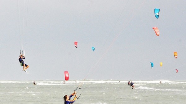 Ảnh minh họa. Ảnh: T.M.N 