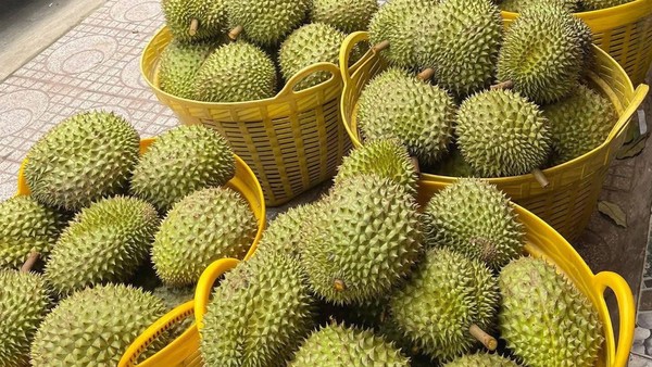 Trung Quốc chi 5,5 tỷ USD nhập khẩu rau quả Việt Nam năm 2025, tăng gần 19% so với năm 2024. 