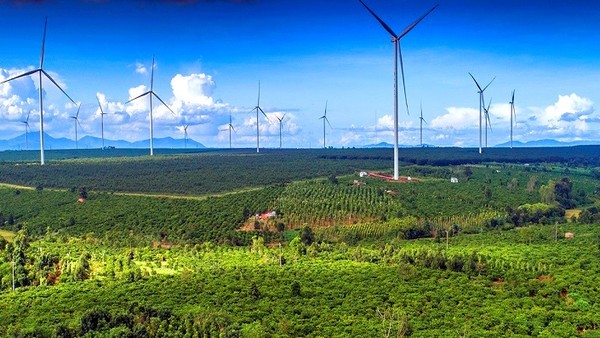 Gia Lai sắp đấu thầu 8 dự án điện gió, 4 dự án điện mặt trời 