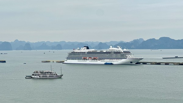 Du lịch tàu biển Quảng Ninh nhộn nhịp, sôi động với sự xuất hiện liên tiếp của các chuyến tàu lớn. Ảnh: Quỳnh Nga