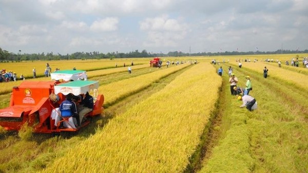 Bộ Tài chính đề xuất nâng mức hỗ trợ phí bảo hiểm nông nghiệp lên tối đa 95% với hộ nghèo.