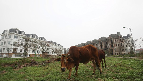 Việc xử lý nợ xấu giúp giải phóng nguồn lực đang bị kẹt lại trong các dự án đình trệ, tài sản dở dang