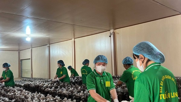 Quảng Trị hiện có nhiều chính sách hỗ trợ cho các doanh nghiệp thúc đẩy mở rộng thị trường, nâng cao năng lực cạnh tranh.