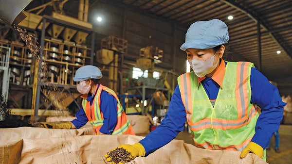 Giá nguyên vật liệu và logistics đồng loạt tăng khiến chi phí của doanh nghiệp đội lên rất nhiều (Ảnh: P.V) 