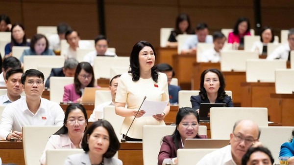Đại biểu Trần Thị Vân tham gia thảo luận.