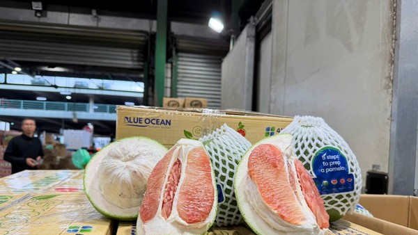 Bưởi Việt Nam lần đầu xuất khẩu sang Úc.