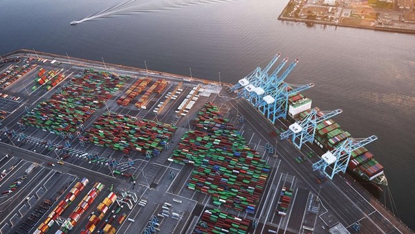 Chuỗi cung ứng toàn cầu tiếp tục chọn Việt Nam 