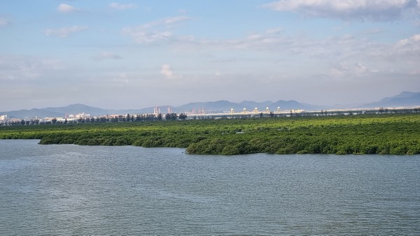 Quảng Ninh nghiên cứu, lựa chọn phương án tối ưu đầu tư xây dựng cầu Cửa Lục 2 