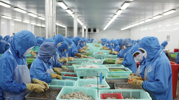 Xuất khẩu vẫn duy trì tăng trưởng tích cực, nhưng đà phục hồi sản xuất đang có dấu hiệu chậm lại 