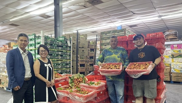 Hơn 2 tấn vải thiều tươi của Việt Nam vừa được xuất khẩu thành công sang Houston, Mỹ. 