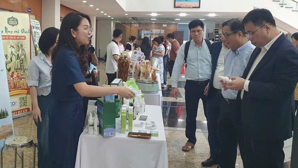 Xây dựng hệ sinh thái hỗ trợ doanh nghiệp nhỏ và vừa toàn diện 