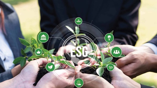 Dữ liệu ESG minh bạch và có thể kiểm chứng đang trở thành nền tảng để doanh nghiệp tiếp cận dòng vốn xanh