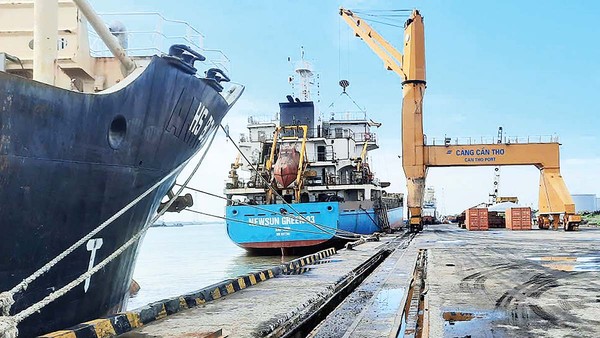 Cần Thơ có đầy đủ điều kiện để phát triển thành trung tâm dịch vụ logistics quốc tế hiện đại của vùng ĐBSCL và tiểu vùng Mekong (Ảnh: P.V) 