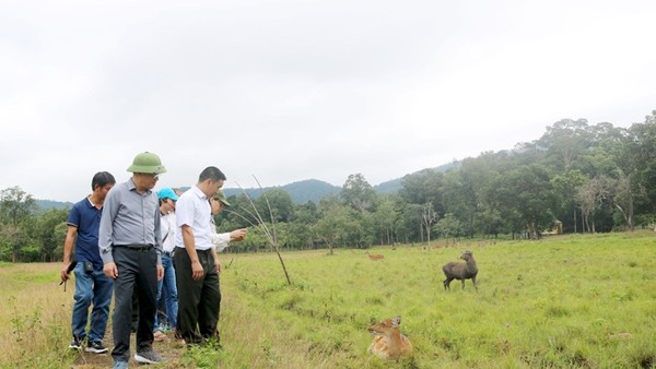 Đoàn công tác của UBND tỉnh Gia Lai tham quan Trung tâm cứu hộ, bảo tồn và phát triển sinh vật của Vườn Quốc gia Kon Ka Kinh. Ảnh: Kim Loan.