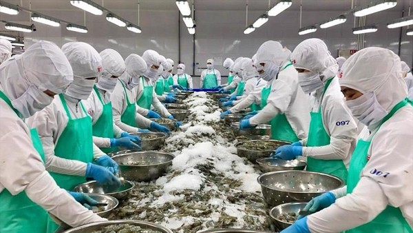 Xuất khẩu thủy sản sang khu vực thị trường EFTA không dễ để tăng sản lượng ngay lập tức. 