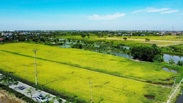 Hải Phòng phát triển nông thôn bền vững với Bộ tiêu chí nông thôn mới giai đoạn 2026-2030 