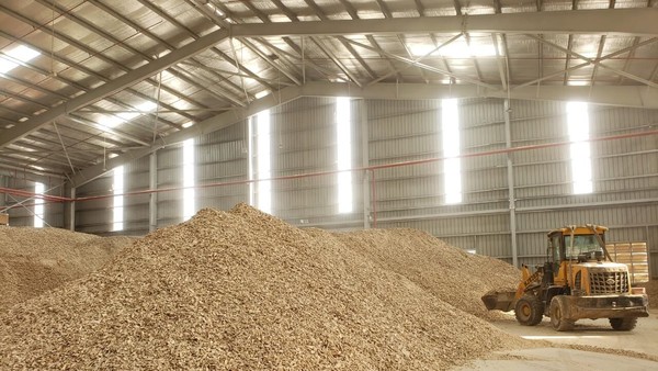 Sắn lát trong kho chờ xuất khẩu. Ảnh: ĐVCC.