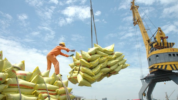 TP.HCM yêu cầu cơ quan chức năng tuyệt đối không để xảy ra tình trạng chậm trễ, ách tắc khó khăn cho doanh nghiệp xuất khẩu gạo.