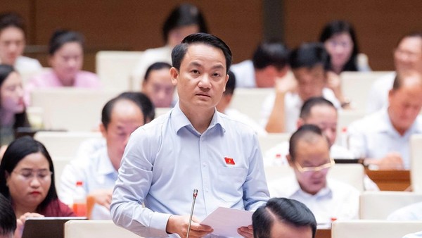 Đại biểu Lê Văn Thế (Ninh Bình) phát biểu tại hội trường - Ảnh: QH 
