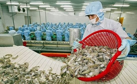 Cơ quan chức năng Italia sẽ kiểm tra gắt gao các lô hàng nông sản, thực phẩm của Việt Nam nhập khẩu vào thị trường này. 