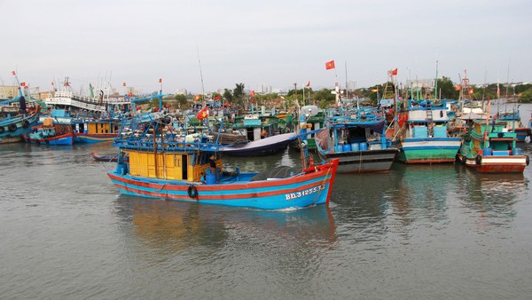 Lực lượng chức năng TP.HCM sẽ xử lý nghiêm khắc các hành vi sai phạm quy định đối với tàu cá