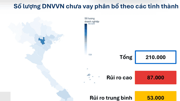 Số lượng doanh nghiệp vừa và nhỏ chưa tiếp cận vốn vay phân bổ theo tỉnh thành, tính đến 2025. Ảnh: FiinGroup