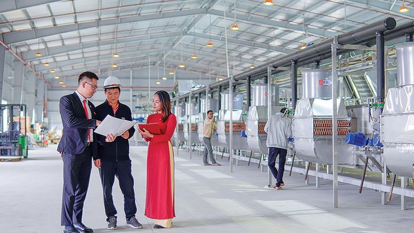 Từ tháng 8/2026, Agribank triển khai chương trình tín dụng ưu đãi quy mô 70.000 tỷ đồng dành cho SME, cá nhân và hộ kinh doanh