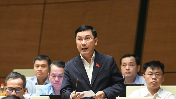 Đại biểu Lê Hoàng Anh tham gia thảo luận. Ảnh: Như Ý .
