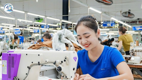 TNG giải trình lợi nhuận quý IV/2025 tăng 50% so với cùng kỳ 