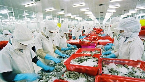 Thuế 12,5% của Mỹ chưa phải cú sốc, nhưng đủ làm thay đổi cuộc đua cạnh tranh của thủy sản Việt