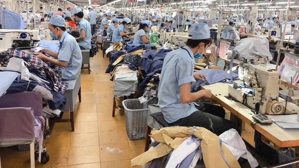 May mặc Bình Dương (BDG) chia cổ tức khủng, tỷ lệ 50% bằng tiền 