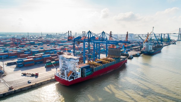 Cảng Đình Vũ (DVP): Kết quả kinh doanh quý I/2026 đi lùi, chia cổ tức 50% bằng tiền mặt