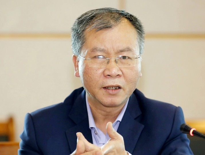 TS. Vũ Đình Ánh, Chuyên gia kinh tế